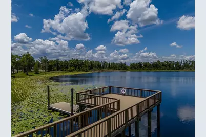 1686 Cherry Walk Road, Lutz, FL 33558 - Photo 70
