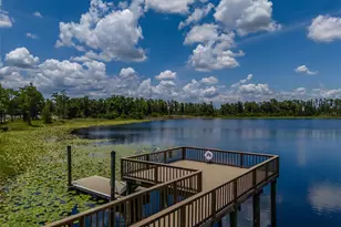 1686 Cherry Walk Rd, Lutz, FL 33558 - Photo 70