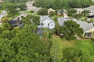 4415 Ave Cannes, Lutz, FL 33558 - Photo 54