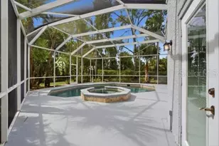 4415 Ave Cannes, Lutz, FL 33558 - Photo 50