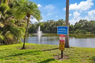 2603 2nd Ct, Palm Harbor, FL 34684 - Photo 28