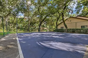 2603 2nd Ct, Palm Harbor, FL 34684 - Photo 24