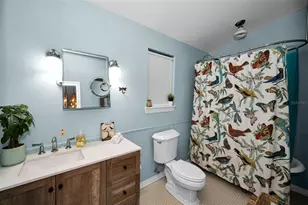 3525 Fairview St, Safety Harbor, FL 34695 - Photo 50
