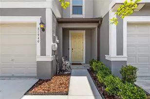 31940 Blue Passing Loop, Wesley Chapel, FL 33545 - Photo 4