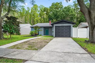 12419 Hidden Brook Drive, Tampa, FL 33624 - Photo 2