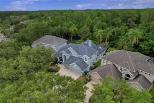 11721 Gothic Ln, Tampa, FL 33626 - Photo 4