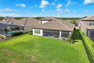 14142 Swiss Bridge Dr, Riverview, FL 33579 - Photo 60