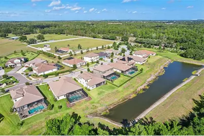 14142 Swiss Bridge Drive, Riverview, FL 33579 - Photo 62