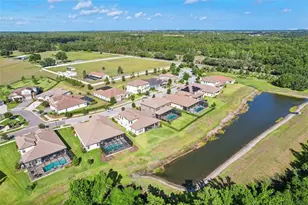 14142 Swiss Bridge Dr, Riverview, FL 33579 - Photo 62