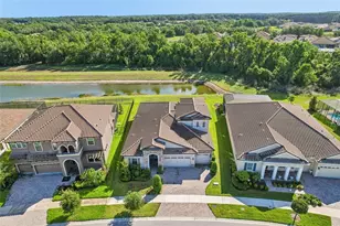 14142 Swiss Bridge Dr, Riverview, FL 33579 - Photo 50