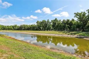 14142 Swiss Bridge Dr, Riverview, FL 33579 - Photo 56