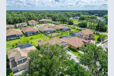 155 Sabal Breeze Court, Brandon, FL 33511 - Photo 94