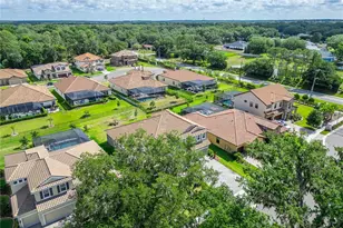 155 Sabal Breeze Ct, Brandon, FL 33511 - Photo 94