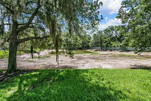 2461 Earlswood Ct, Brandon, FL 33510 - Photo 28