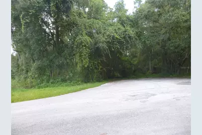 7709 Windward Way, Odessa, FL 33556 - Photo 16
