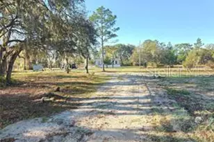 12070 NE 63rd Pl, Williston, FL 32696 - Photo 38
