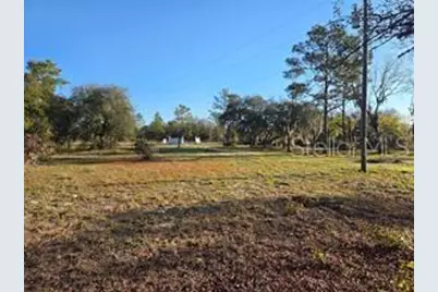 12070 NE 63rd Place, Williston, FL 32696 - Photo 34