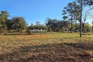 12070 NE 63rd Pl, Williston, FL 32696 - Photo 34
