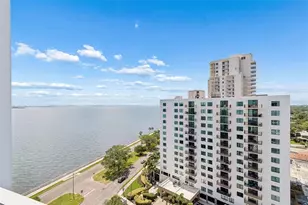 3435 Bayshore Blvd, Tampa, FL 33629 - Photo 38