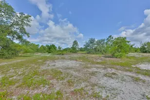14451 Highland Rd, Wimauma, FL 33598 - Photo 38