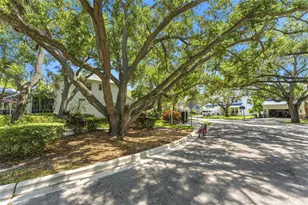 3203 Lake Green Ct, Tampa, FL 33611 - Photo 36