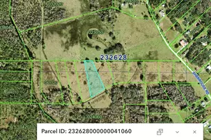 Old Dade City Rd, Lakeland, FL 33810 - Photo 1