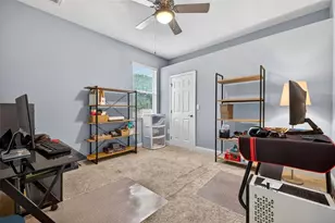 27225 Sora Blvd, Wesley Chapel, FL 33544 - Photo 26