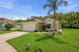 5600 Sir Barton Ct, Wesley Chapel, FL 33544 - Photo 2
