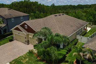 18233 Roseate Dr, Lutz, FL 33558 - Photo 4