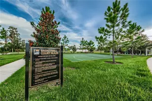 18233 Roseate Dr, Lutz, FL 33558 - Photo 84