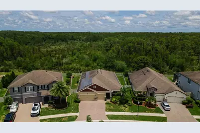 18233 Roseate Drive, Lutz, FL 33558 - Photo 48