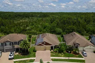 18233 Roseate Dr, Lutz, FL 33558 - Photo 48