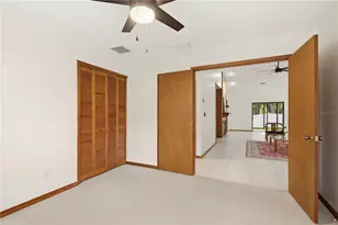 3791 Orchard Highlands Dr, Palm Harbor, FL 34684 - Photo 22