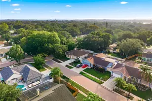3791 Orchard Highlands Dr, Palm Harbor, FL 34684 - Photo 40