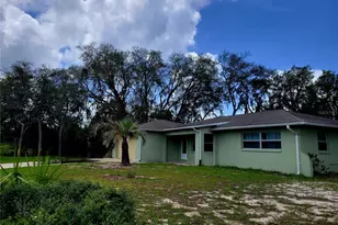 9022 Lingrove Rd, Weeki Wachee, FL 34613 - Photo 4