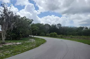 9022 Lingrove Rd, Weeki Wachee, FL 34613 - Photo 48