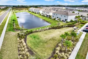 2191 Hallier Cv, Wesley Chapel, FL 33543 - Photo 40