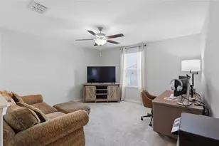 5052 White Chicory Dr, Apollo Beach, FL 33572 - Photo 28