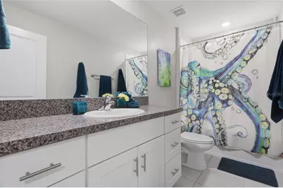5052 White Chicory Drive, Apollo Beach, FL 33572 - Photo 26