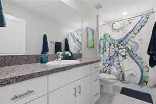 5052 White Chicory Dr, Apollo Beach, FL 33572 - Photo 26