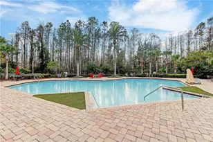 8758 Crystal Creek Ct, Land O Lakes, FL 34638 - Photo 72