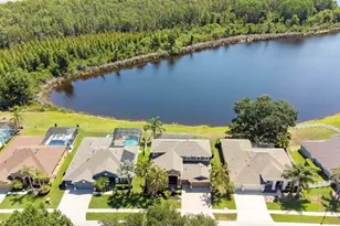 8758 Crystal Creek Ct, Land O Lakes, FL 34638 - Photo 76