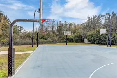8758 Crystal Creek Court, Land O Lakes, FL 34638 - Photo 66