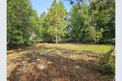 0 SW Spirit Ave Avenue, Fort White, FL 32038 - Photo 34