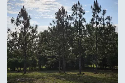 0 SW Spirit Ave Avenue, Fort White, FL 32038 - Photo 24