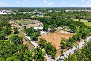 1007 State St E, Oldsmar, FL 34677 - Photo 62