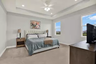 32332 Rosepine Blvd, Wesley Chapel, FL 33543 - Photo 4