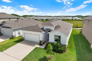 32332 Rosepine Blvd, Wesley Chapel, FL 33543 - Photo 56