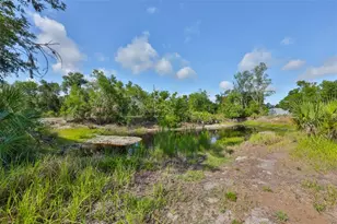 14451 Highland Rd, Wimauma, FL 33598 - Photo 14