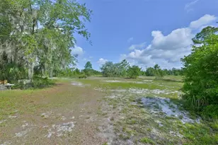 14451 Highland Rd, Wimauma, FL 33598 - Photo 40